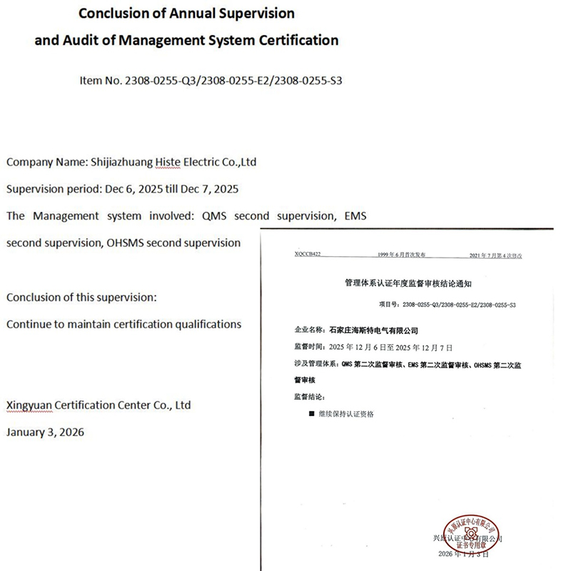 passed-the-annual-audit-of-iso-management-system-demonstrating-excellent-management-strength-11.jpg